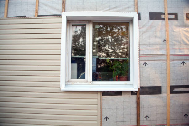 Affordable Siding Repair and Maintenance Services in San Martin, CA